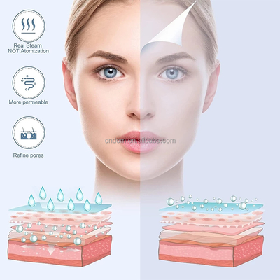 Hot Cold Nozzle Esthetician Steamer แหล่งไฟฟ้า 110-240 VAC สําหรับบ้าน สาลอนความงาม สปา