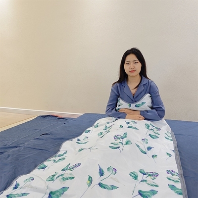Lifepro Sauna Blanket ผ้ากันน้ํา ยอดยาที่สูงกว่าสําหรับลดน้ําหนักและล้างพิษ